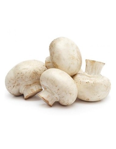 Champiñones